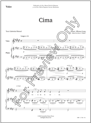 Cima, by Alfonso Leng