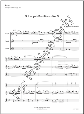 Schinopsis Brasiliensis No. 3, by Jailton de Oliveira